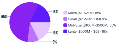 Firm Size by Assets Under Management (AUM)-1